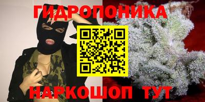 стаф Славянск-на-Кубани