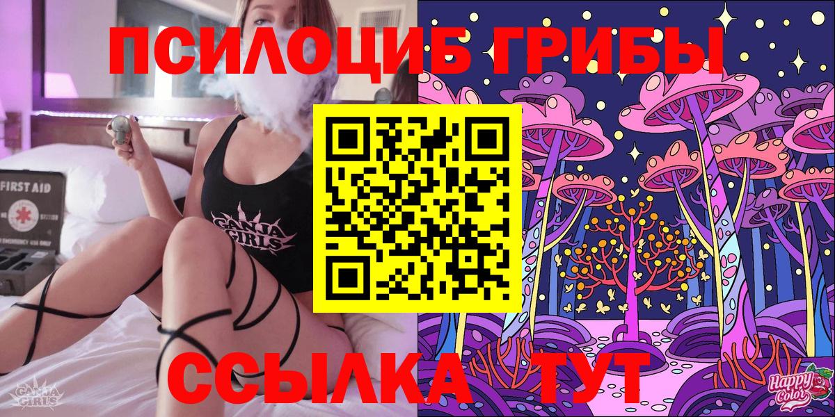 Галлюциногенные грибы Psilocybine cubensis  Вход с VPN  Павлово 